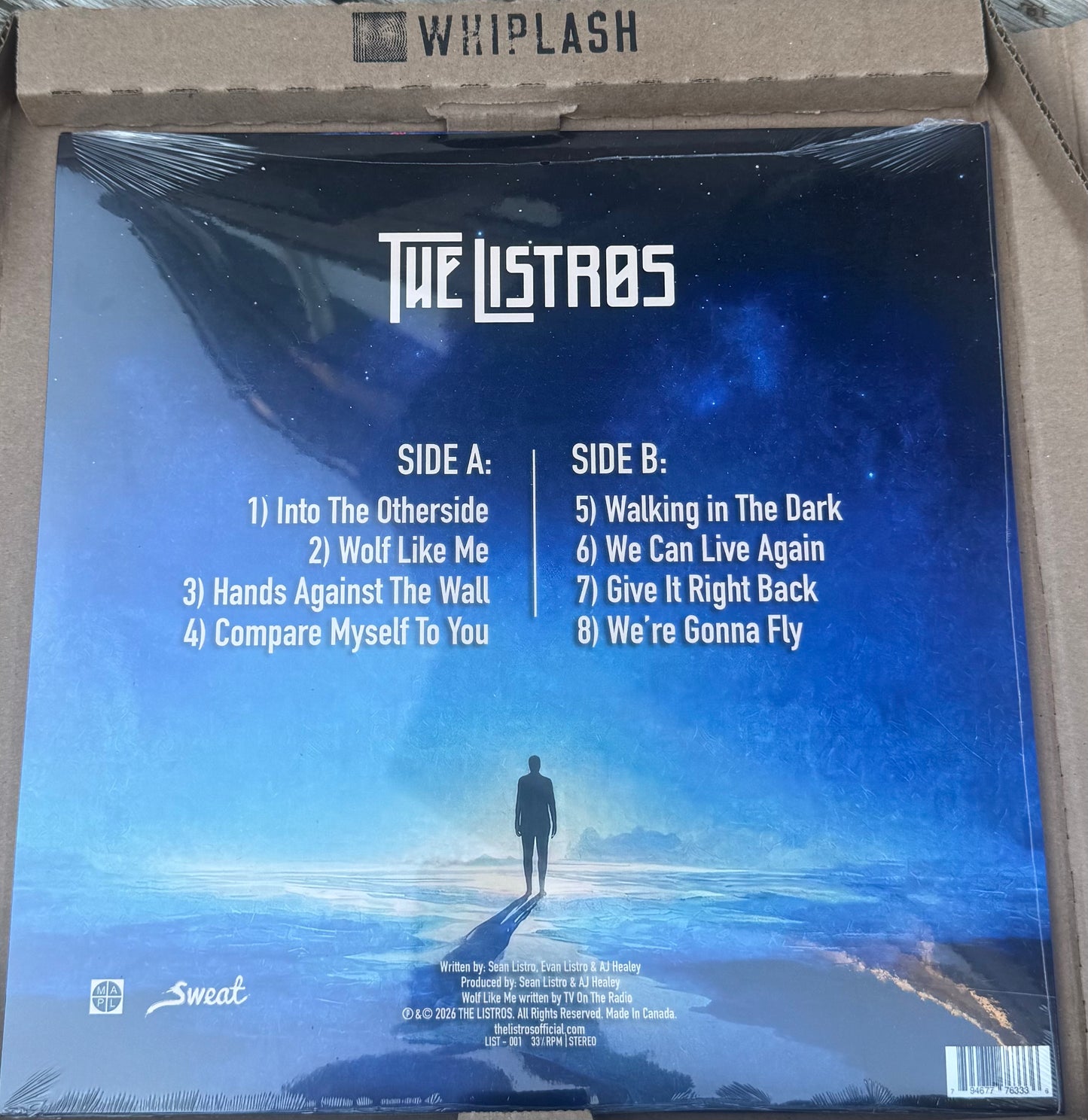 The Listros - Into The Otherside Vinyl LP (First Pressing)