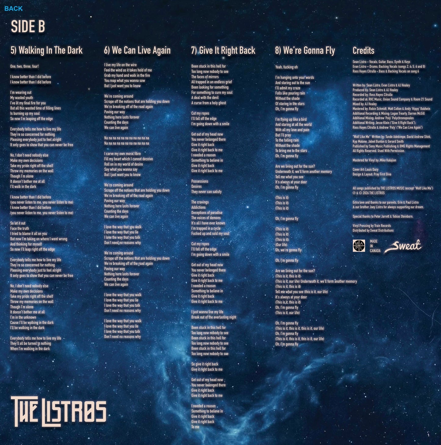 The Listros - Into The Otherside Vinyl LP (First Pressing)
